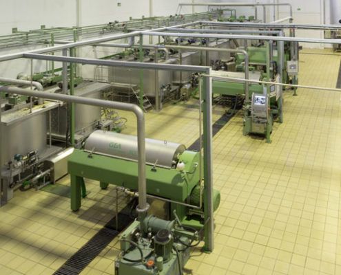 elaboracion aceite 6