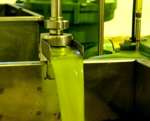 elaboracion aceite 7