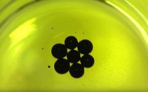 Experimentos para niños con aceite de oliva