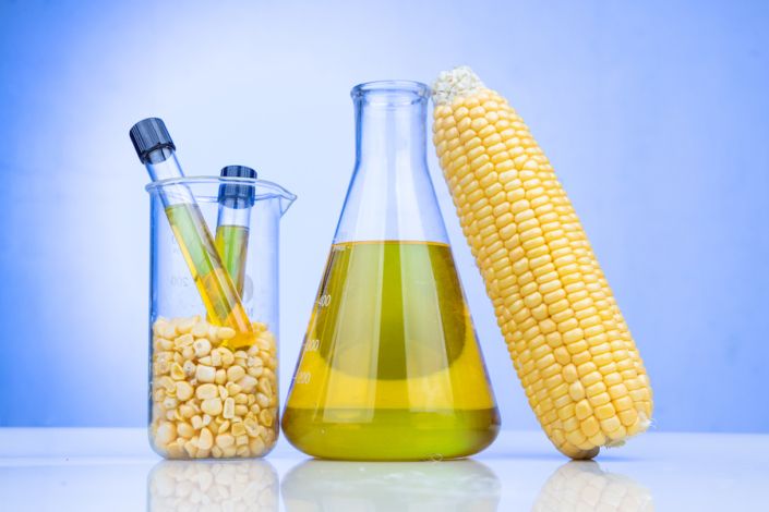 Aceite de maíz, propiedades y contraindicaciones - Oleopalma